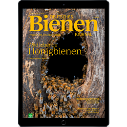 E-Paper Upgrade f&uuml;r Leser der gedruckten Ausgabe