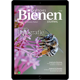 E-Paper Upgrade f&uuml;r Leser der gedruckten Ausgabe