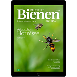 E-Paper Probelesen