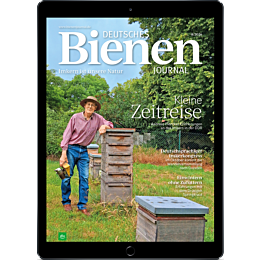 E-Paper Upgrade für Leser der gedruckten Ausgabe