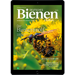 E-Paper Upgrade für Leser der gedruckten Ausgabe