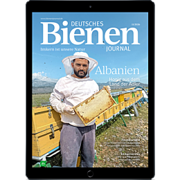 E-Paper Upgrade für Leser der gedruckten Ausgabe