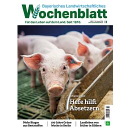 Pers&ouml;nliches Abo