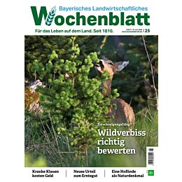 Persönliches Abo