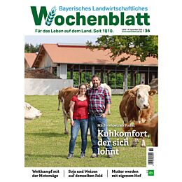 Persönliches Abo