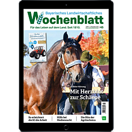 E-Paper Upgrade für Leser der gedruckten Ausgabe