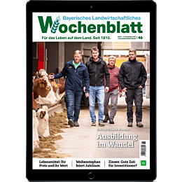 E-Paper Upgrade für Leser der gedruckten Ausgabe