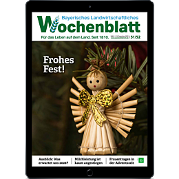 Pers&ouml;nliches Abo E-Paper