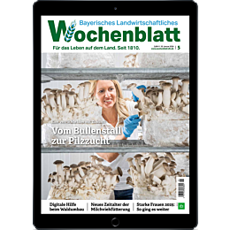 E-Paper Upgrade f&uuml;r Leser der gedruckten Ausgabe