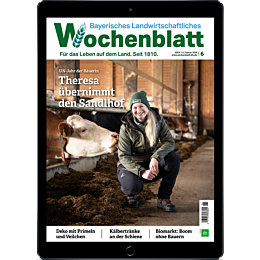 E-Paper Upgrade f&uuml;r Leser der gedruckten Ausgabe