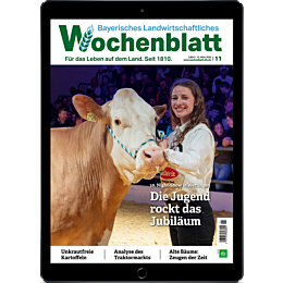 Pers&ouml;nliches Abo E-Paper