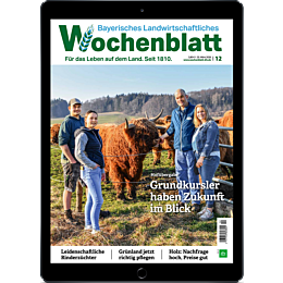 E-Paper Upgrade für Leser der gedruckten Ausgabe
