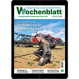 Pers&ouml;nliches Abo E-Paper