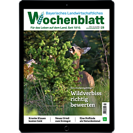 E-Paper Upgrade für Leser der gedruckten Ausgabe