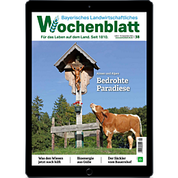 E-Paper Upgrade f&uuml;r Leser der gedruckten Ausgabe