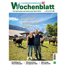 Persönliches Abo