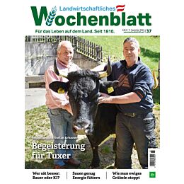 Persönliches Abo