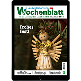 Pers&ouml;nliches Abo digital