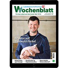 Pers&ouml;nliches Abo E-Paper