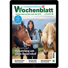 E-Paper Upgrade f&uuml;r Leser der gedruckten Ausgabe