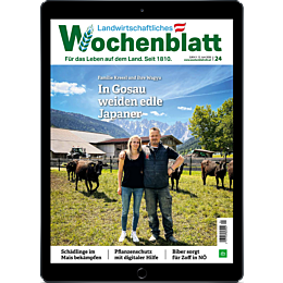 Pers&ouml;nliches Abo E-Paper