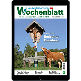 Pers&ouml;nliches Abo E-Paper