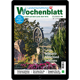 E-Paper Upgrade für Leser der gedruckten Ausgabe