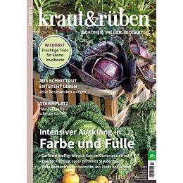 Weihnachtsgeschenk-Abo