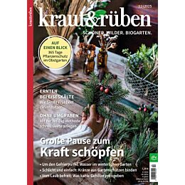 Weihnachtsgeschenk-Abo