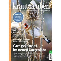 Weihnachtsgeschenk-Abo