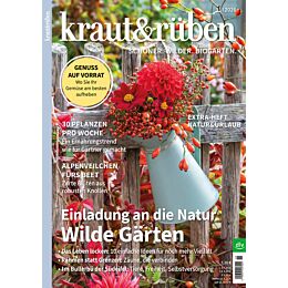 Weihnachtsgeschenk-Abo