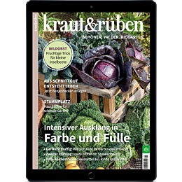 E-Paper Upgrade für Leser der gedruckten Ausgabe
