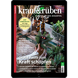 E-Paper Upgrade für Leser der gedruckten Ausgabe