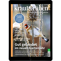 E-Paper Upgrade für Leser der gedruckten Ausgabe