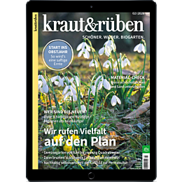 E-Paper Upgrade für Leser der gedruckten Ausgabe