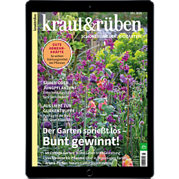 E-Paper Upgrade f&uuml;r Leser der gedruckten Ausgabe