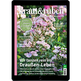 E-Paper Upgrade f&uuml;r Leser der gedruckten Ausgabe