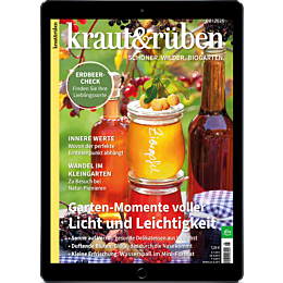 E-Paper Upgrade f&uuml;r Leser der gedruckten Ausgabe