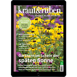 E-Paper Upgrade für Leser der gedruckten Ausgabe