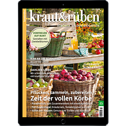 E-Paper Upgrade für Leser der gedruckten Ausgabe