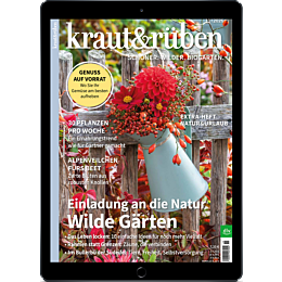 E-Paper Upgrade f&uuml;r Leser der gedruckten Ausgabe