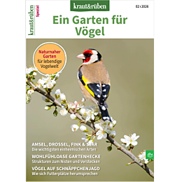 kraut&rüben Spezial 2/26 - Ein Garten für Vögel