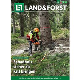 Geschenk-Abo Weihnachtspaket