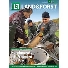 Geschenk-Abo Weihnachtspaket