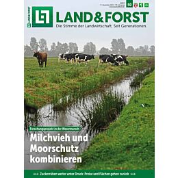 Geschenk-Abo Weihnachtspaket