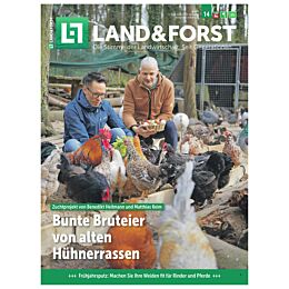 Geschenk-Abo