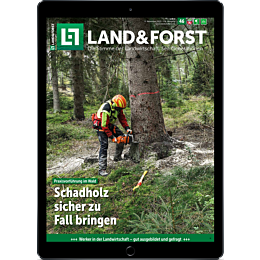 E-Paper für Leser der gedruckten Ausgabe