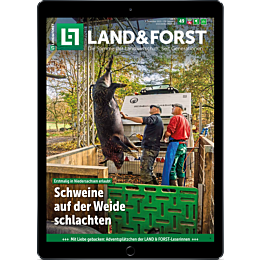 E-Paper für Leser der gedruckten Ausgabe
