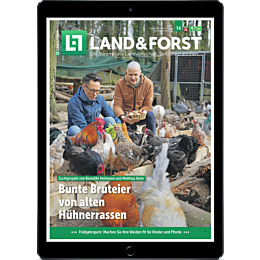 E-Paper f&uuml;r Leser der gedruckten Ausgabe