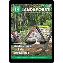 E-Paper f&uuml;r Leser der gedruckten Ausgabe
